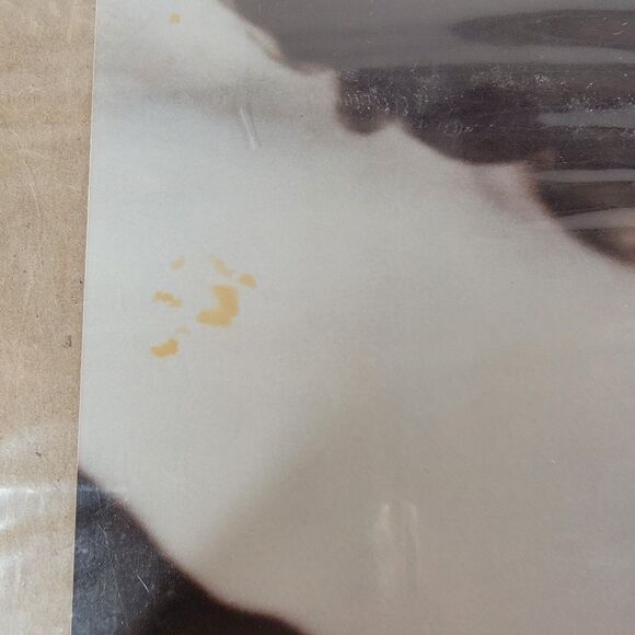 Kim Novak Stills Photographs - Picture 2 of 5